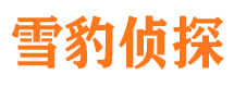 东兰市侦探公司